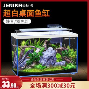 80x30x50的魚缸養(yǎng)什么金魚好:80x30x50的魚缸養(yǎng)殖方法
