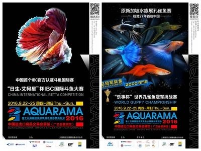 2024廣州水族展會時間地點在哪里：2024年廣州各區花市信息一覽