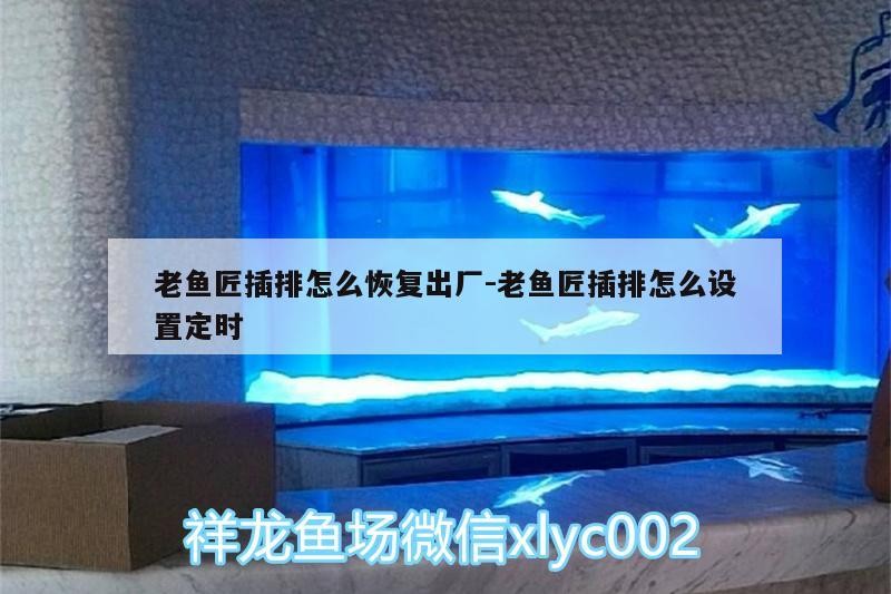 老魚匠插排怎么恢復(fù)出廠:老魚匠插排怎么設(shè)置定時