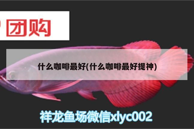 魚缸用增氧泵價(jià)格是多少:魚缸增氧機(jī)-xtrac增氧機(jī)-xtrac增氧機(jī) 什么咖啡最好(什么咖啡最好提神) 馬來(lái)西亞咖啡 什么咖啡最好(什么咖啡最好提神) 什么咖啡最好(什么咖啡最好提神) 馬來(lái)西亞咖啡