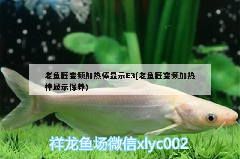 老魚匠變頻加熱棒顯示E3(老魚匠變頻加熱棒顯示保養)