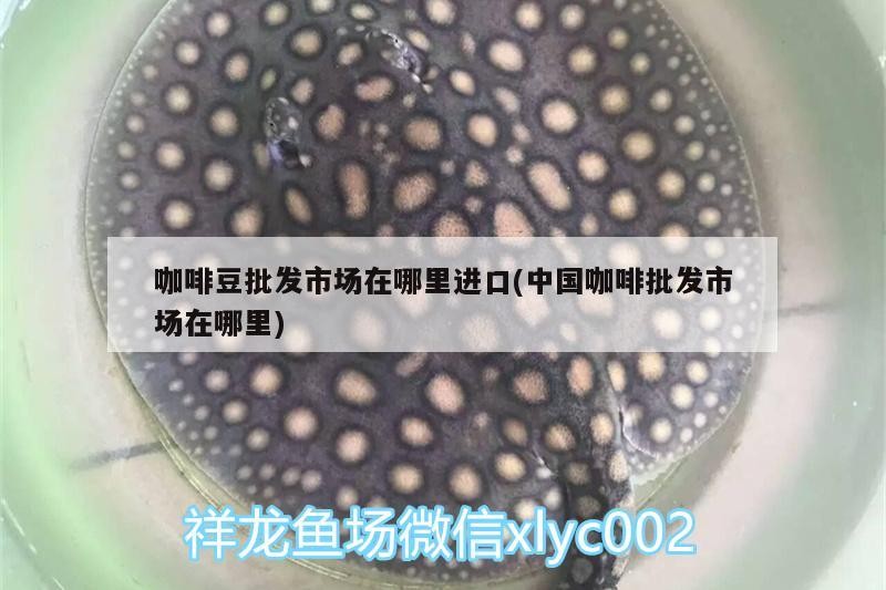 咖啡豆批發市場在哪里進口(中國咖啡批發市場在哪里)