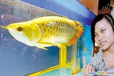 2024廣州寵物水族展會時間：2024年的廣州寵物水族展會將在2024年9月10-13日,舉行 2024廣州寵物水族展會時間：2024年的廣州寵物水族展會將在2024年9月10-13日,舉行 魚缸百科 第3張
