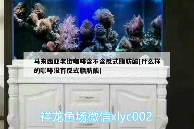 馬來(lái)西亞老街咖啡含不含反式脂肪酸(什么樣的咖啡沒(méi)有反式脂肪酸) 馬來(lái)西亞老街咖啡含不含反式脂肪酸(什么樣的咖啡沒(méi)有反式脂肪酸) 馬來(lái)西亞咖啡