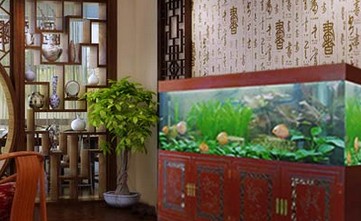 創寧牌子怎么樣（創寧牌子怎么樣知乎）