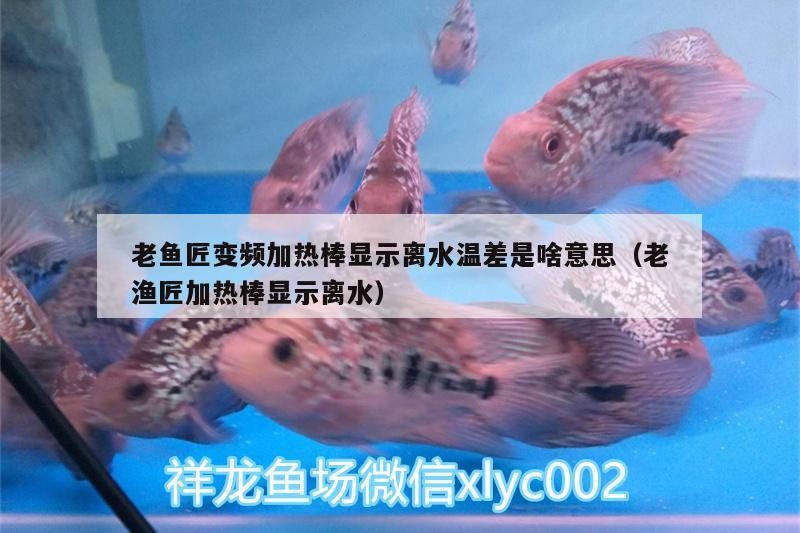 老魚匠變頻加熱棒顯示離水溫差是啥意思（老漁匠加熱棒顯示離水）