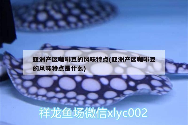 亞洲產區咖啡豆的風味特點(亞洲產區咖啡豆的風味特點是什么)