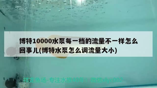 博特10000水泵每一檔的流量不一樣怎么回事兒(博特水泵怎么調流量大小)
