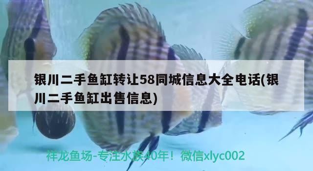 詳細(xì)閱讀:銀川二手魚(yú)缸轉(zhuǎn)讓58同城信息大全電話(huà)(銀川二手魚(yú)缸出售信息) 銀川二手魚(yú)缸轉(zhuǎn)讓58同城信息大全電話(huà)(銀川二手魚(yú)缸出售信息)