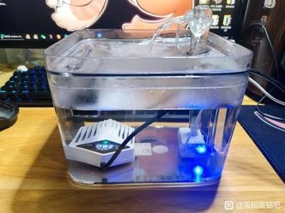 diy魚缸加熱器：diy魚缸加熱器的安全性