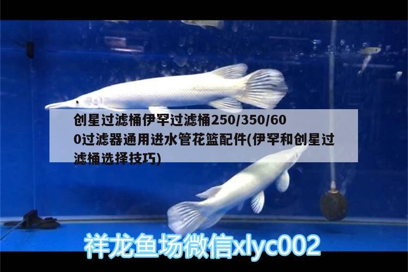 創(chuàng)星過濾桶伊罕過濾桶250/350/600過濾器通用進水管花籃配件(伊罕和創(chuàng)星過濾桶選擇技巧)