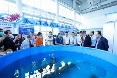 2024廣州水族展會時間地點表：2024廣州水上花市活動詳情2024年廣州水上花市活動詳情 2024廣州水族展會時間地點表：2024廣州水上花市活動詳情2024年廣州水上花市活動詳情 魚缸百科 第3張