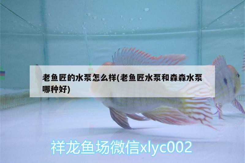 老魚匠的水泵怎么樣(老魚匠水泵和森森水泵哪種好)
