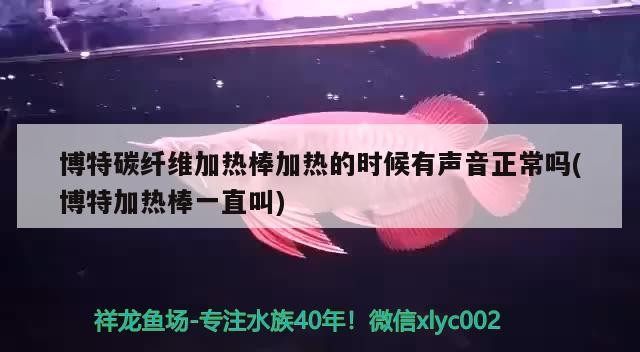博特碳纖維加熱棒加熱的時候有聲音正常嗎(博特加熱棒一直叫)