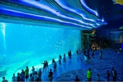 岳陽水族館vs祥龍魚場(岳陽水族館與祥龍魚場各有其特色和優勢)