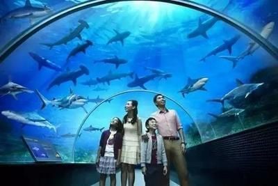 岳陽水族館vs祥龍魚場(岳陽水族館與祥龍魚場各有其特色和優勢)