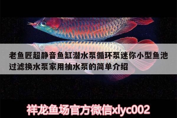 龍魚干蝦有營養嗎 老魚匠超靜音魚缸潛水泵循環泵迷你小型魚池過濾換水泵家用抽水泵的簡單介紹 老魚匠 老魚匠超靜音魚缸潛水泵循環泵迷你小型魚池過濾換水泵家用抽水泵的簡單介紹 老魚匠超靜音魚缸潛水泵循環泵迷你小型魚池過濾換水泵家用抽水泵的簡單介紹 老魚匠