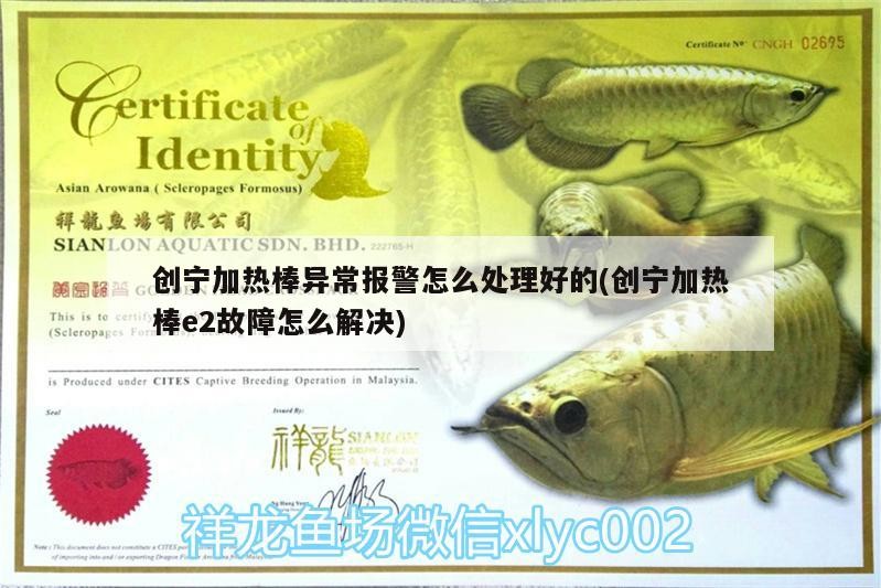 創寧加熱棒異常報警怎么處理好的(創寧加熱棒e2故障怎么解決) 創寧加熱棒異常報警怎么處理好的(創寧加熱棒e2故障怎么解決) 創寧水族