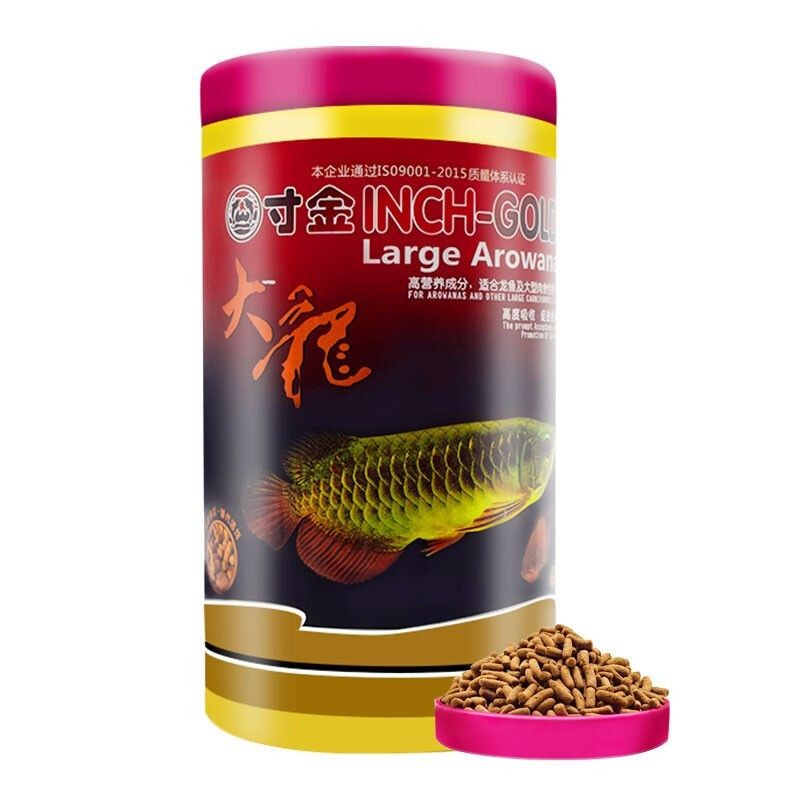 紅龍魚吃什么牌子的飼料好養：幾個備受推崇的紅龍魚飼料品牌