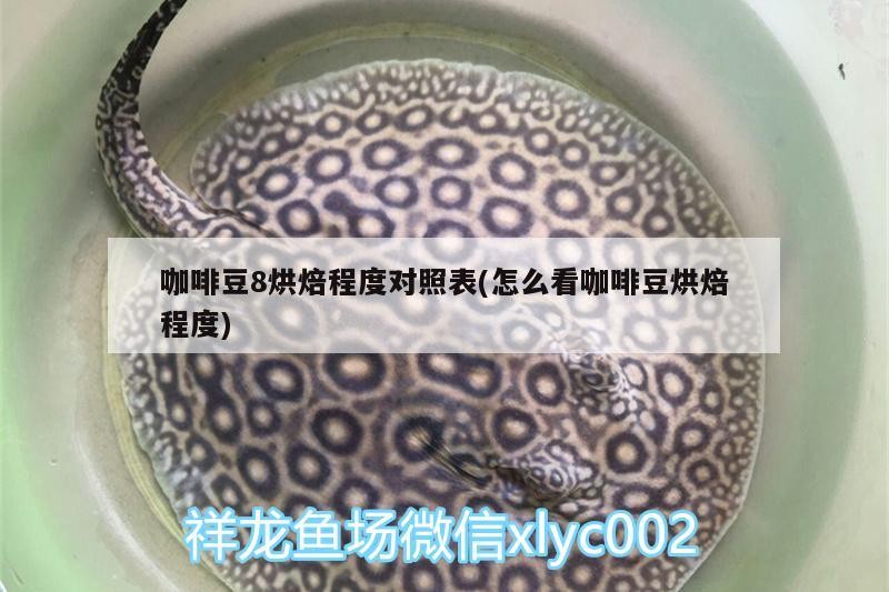 咖啡豆8烘焙程度對照表(怎么看咖啡豆烘焙程度)