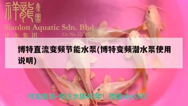 博特直流變頻節(jié)能水泵(博特變頻潛水泵使用說(shuō)明) 博特直流變頻節(jié)能水泵(博特變頻潛水泵使用說(shuō)明) 博特水族