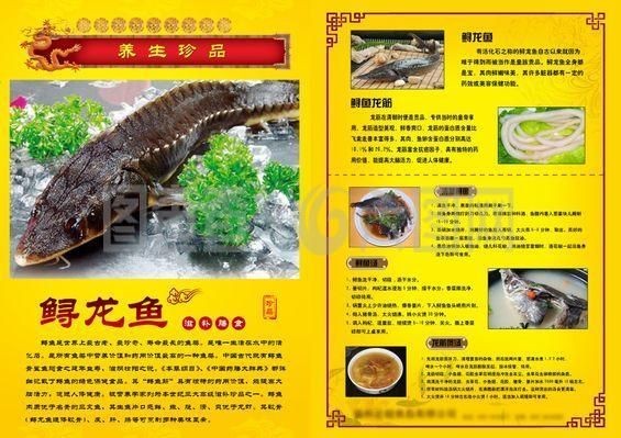 龍魚的功效和作用禁忌