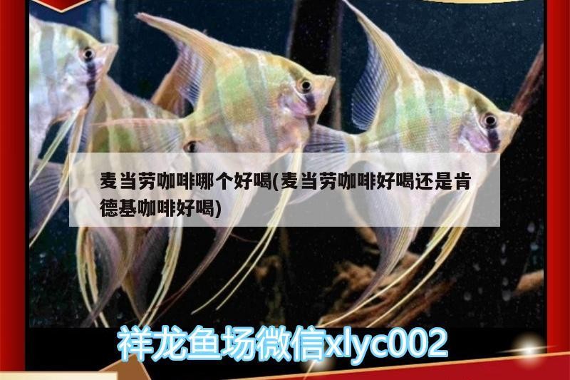 麥當勞咖啡哪個好喝(麥當勞咖啡好喝還是肯德基咖啡好喝)