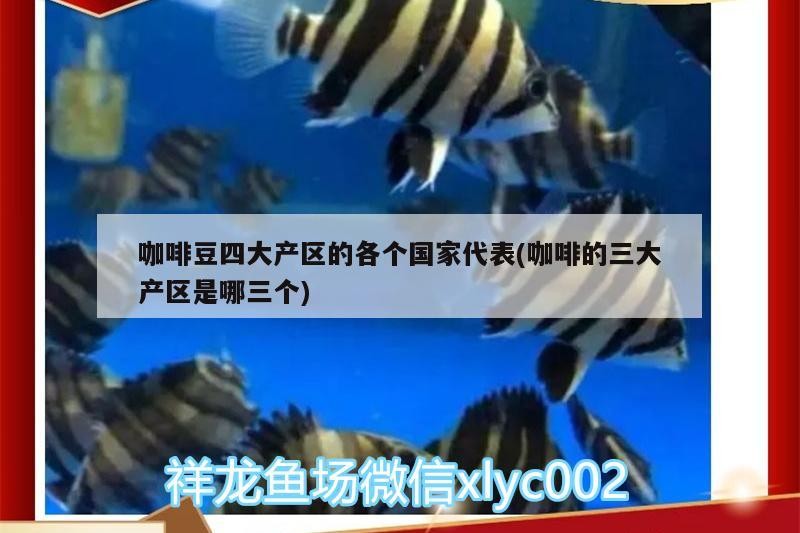 咖啡豆四大產(chǎn)區(qū)的各個(gè)國(guó)家代表(咖啡的三大產(chǎn)區(qū)是哪三個(gè))