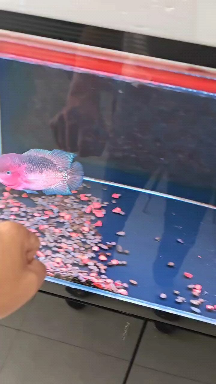 黑了