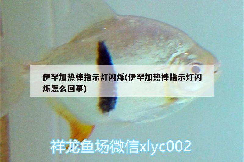 伊罕加熱棒指示燈閃爍(伊罕加熱棒指示燈閃爍怎么回事)