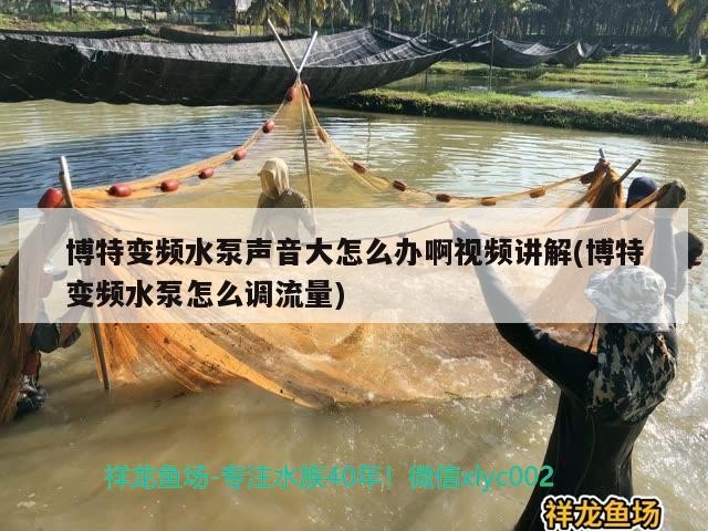 博特變頻水泵聲音大怎么辦啊視頻講解(博特變頻水泵怎么調流量)