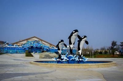 大連水族館vs祥龍魚場(chǎng)（大連水族館可能與觀賞魚市場(chǎng)有關(guān)聯(lián)，但具體信息較少）