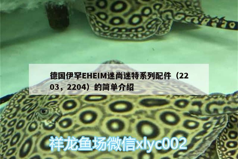 德國(guó)伊罕EHEIM迷尚迷特系列配件（2203，2204）的簡(jiǎn)單介紹