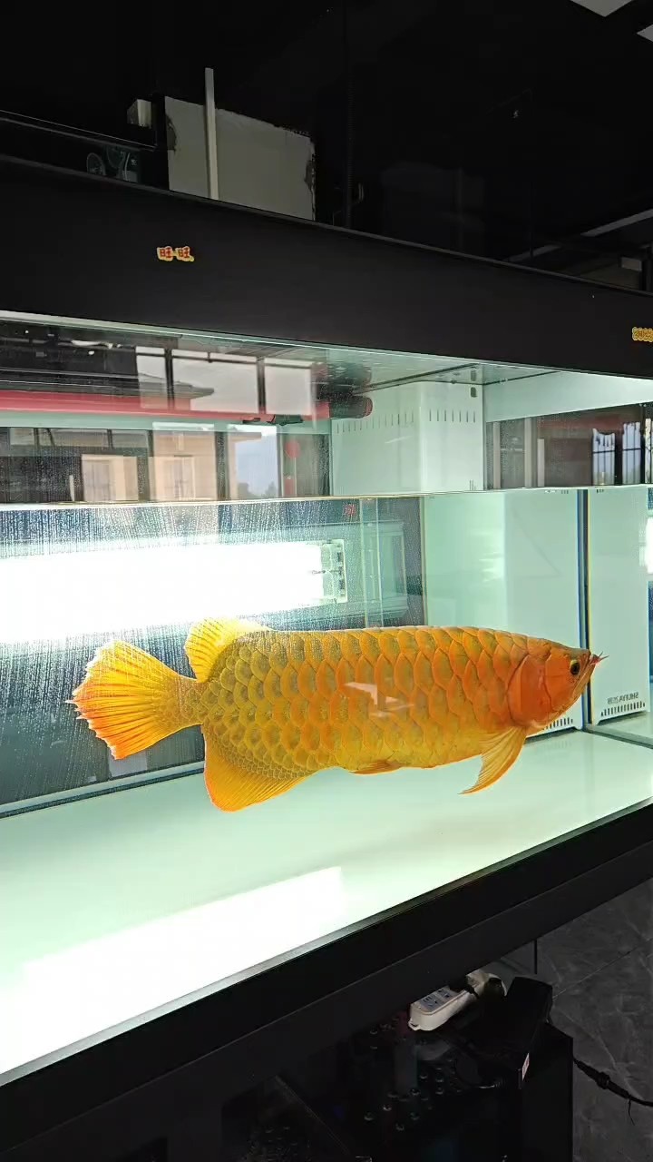 到家的第1351天