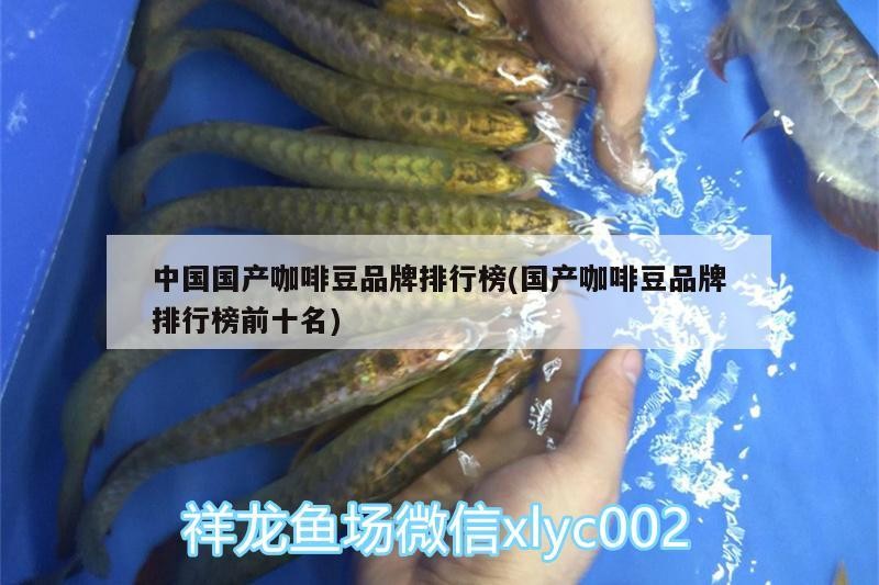 中國國產(chǎn)咖啡豆品牌排行榜(國產(chǎn)咖啡豆品牌排行榜前十名)