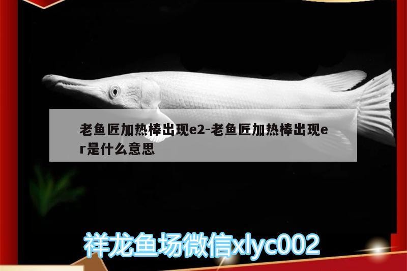 我的虎魚真菌感染了要怎么處理 老魚匠加熱棒出現e2:老魚匠加熱棒出現er是什么意思 老魚匠 老魚匠加熱棒出現e2:老魚匠加熱棒出現er是什么意思 老魚匠加熱棒出現e2:老魚匠加熱棒出現er是什么意思 老魚匠
