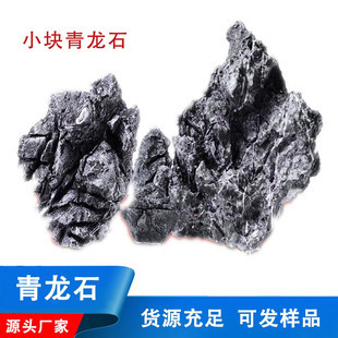 廣東觀賞魚鑒定機構名單查詢（廣東觀賞魚鑒定機構名單查詢官網）