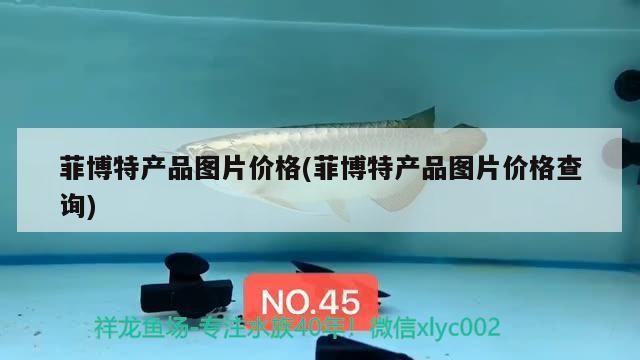 菲博特產(chǎn)品圖片價格(菲博特產(chǎn)品圖片價格查詢)
