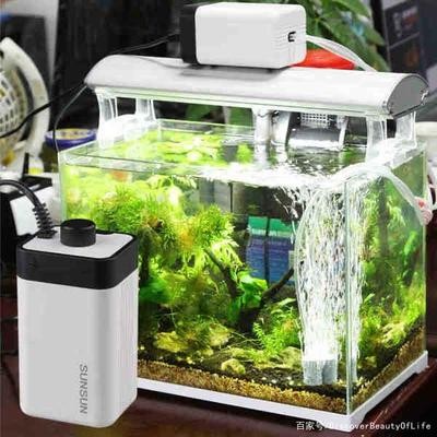 魚缸造景先放沙還是先放水(魚缸造景先鋪沙還是先放石頭) 創寧加熱棒質量怎么樣(創寧加熱棒質量怎么樣知乎) 創寧水族 創寧加熱棒質量怎么樣(創寧加熱棒質量怎么樣知乎) 創寧加熱棒質量怎么樣(創寧加熱棒質量怎么樣知乎) 創寧水族