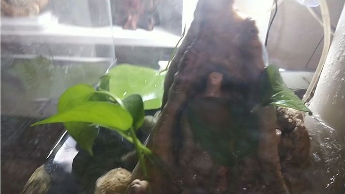 底濾魚缸安裝視頻
