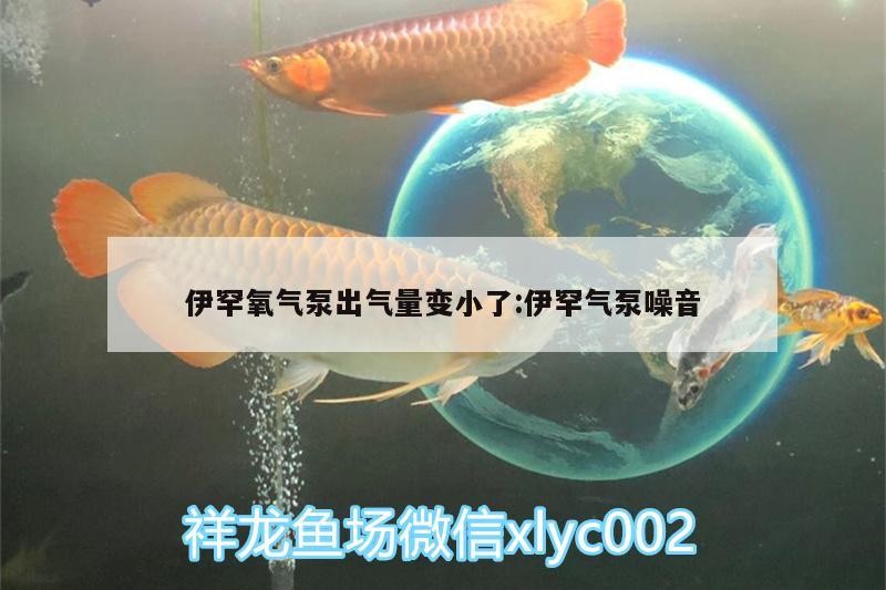伊罕氧氣泵出氣量變小了:伊罕氣泵噪音