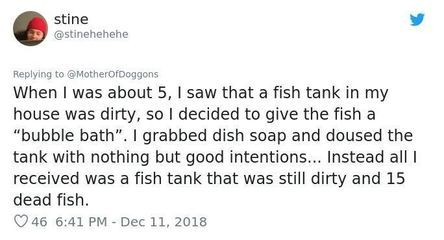 fish tank魚缸美國短篇：29篇美國短篇小說fishtank魚缸fishtank劇情 fish tank魚缸美國短篇：29篇美國短篇小說fishtank魚缸fishtank劇情 魚缸百科 第1張