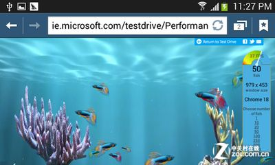 fish tank魚缸美國短篇：29篇美國短篇小說fishtank魚缸fishtank劇情 fish tank魚缸美國短篇：29篇美國短篇小說fishtank魚缸fishtank劇情 魚缸百科 第3張
