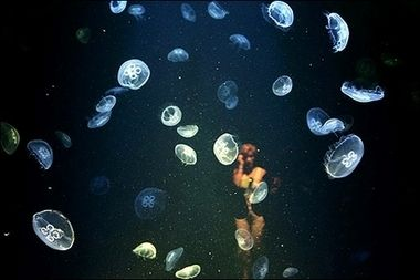 fish tank魚缸美國短篇：29篇美國短篇小說fishtank魚缸fishtank劇情 fish tank魚缸美國短篇：29篇美國短篇小說fishtank魚缸fishtank劇情 魚缸百科 第4張