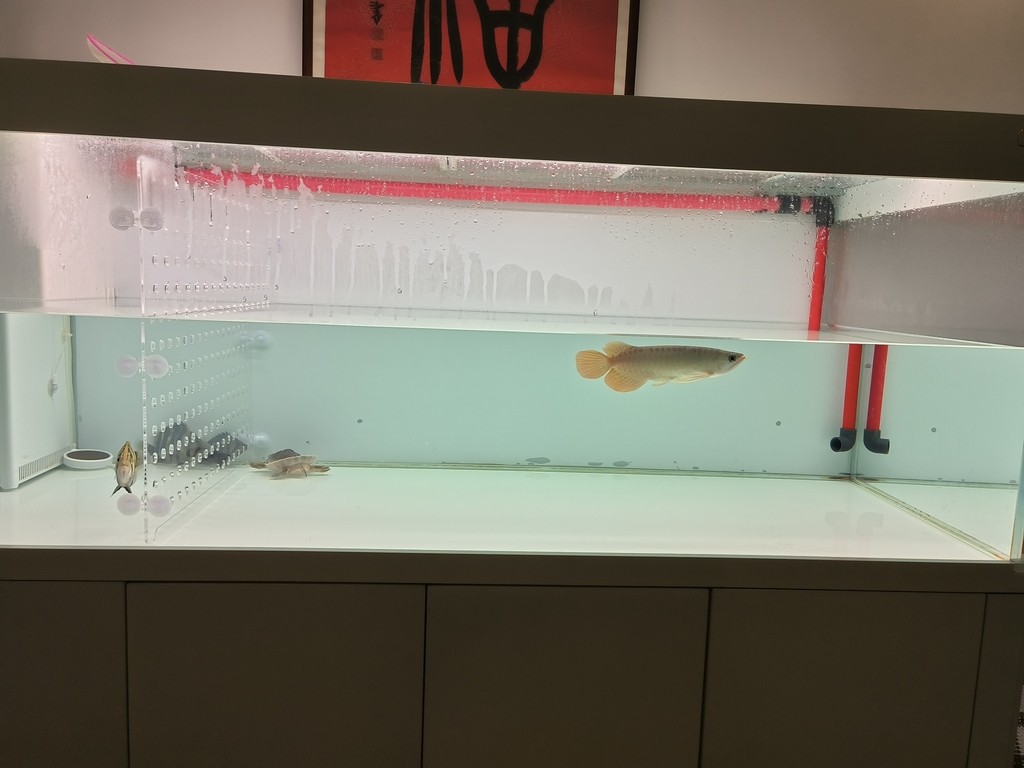 更新檔案