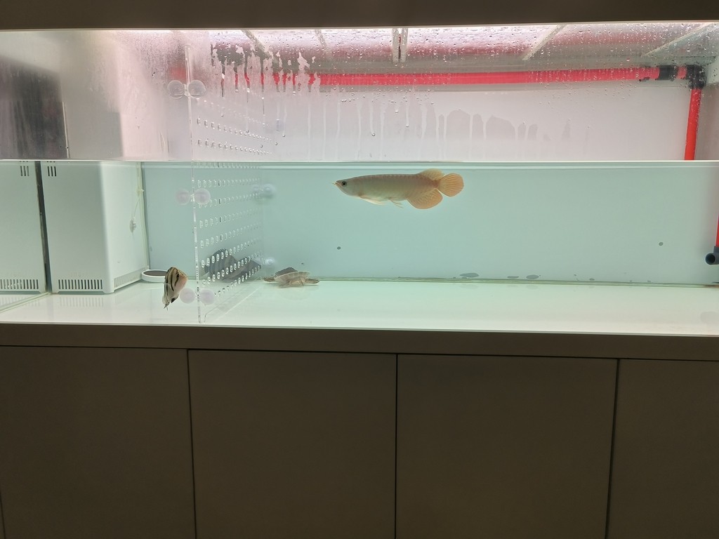 更新檔案