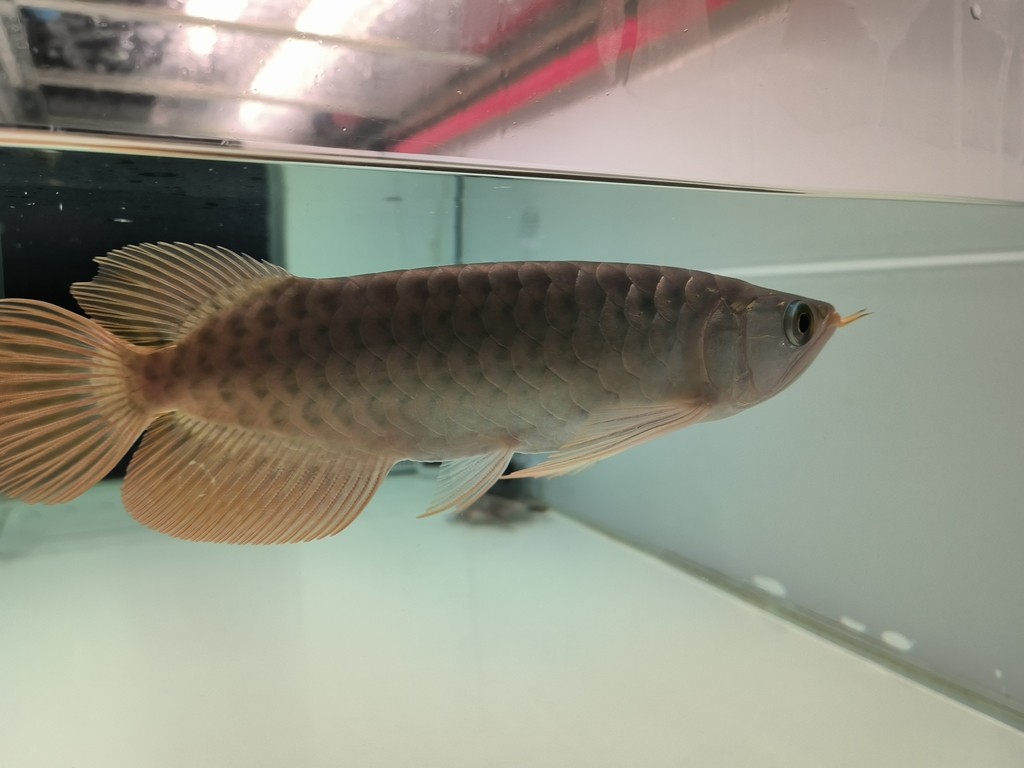 更新檔案
