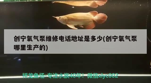 創寧氧氣泵維修電話地址是多少(創寧氧氣泵哪里生產的)