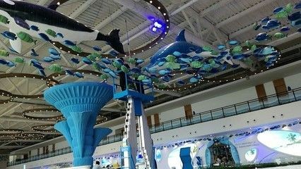 湛江水族館vs祥龍魚場（湛江水族館與祥龍魚場有什么區別？） 湛江水族館vs祥龍魚場（湛江水族館與祥龍魚場有什么區別？） 全國水族館企業名錄 第3張