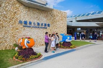 湛江水族館vs祥龍魚場（湛江水族館與祥龍魚場有什么區別？） 湛江水族館vs祥龍魚場（湛江水族館與祥龍魚場有什么區別？） 全國水族館企業名錄 第6張
